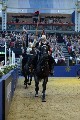 Cavalry - 00197